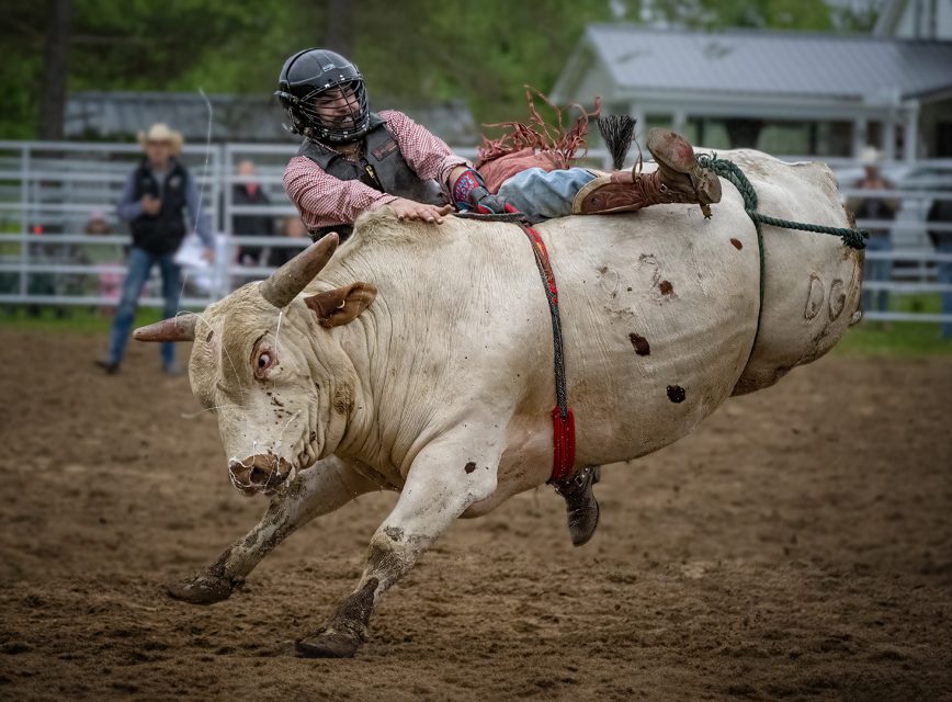 Project: Scary 1st Place by Michael Fairbanks