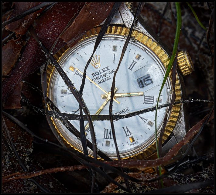 Realistic 2nd Place Lost and Found by Dan Palermo